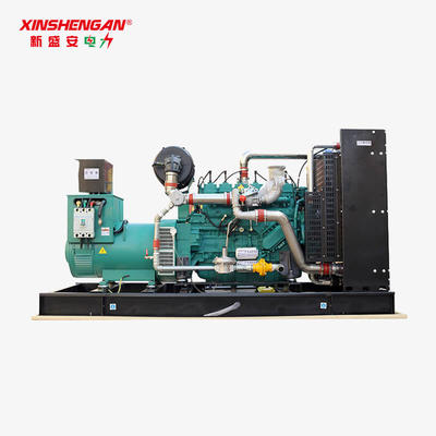 Best 250kw Natural Gas Generator Set Price Purchase